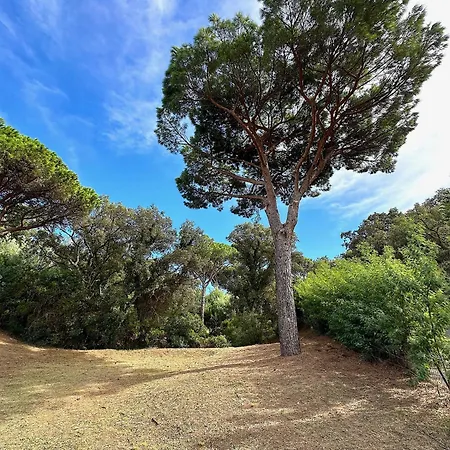 Boca A Gigaro - Avec Vue Et Piscine Chauffee Villa La Croix-Valmer